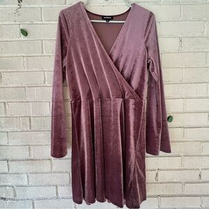 Express Mauve Velvet Dress